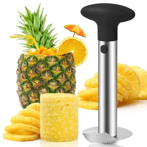 Stainless Steel Pineapple Corer Slicer Tool Fruit Peeler Corer for Home Kitchen - Picture 1 of 7