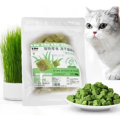 NEW Cat Grass Snack For Indoor Cats Grass Chew Teeth Hairball Removal |U.S D3K3 - Image 1 of 4
