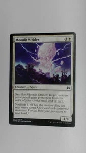 Moonlit Strider - MM2 - LP - MM2027021825 - Picture 1 of 2