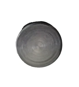 Harley-Davidson Tubo Horquilla Delantera Tapa Tapa Tapa Tapón Perno P/N 45500117 OEM - Imagen 1 de 3