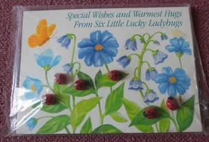 Vtg NIP New Sealed 1980s Avon Plastic Novelty Shank Lucky Ladybug Sewing BUTTONS - Picture 1 of 3