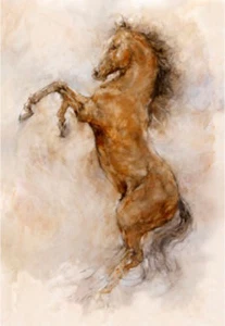 Gary Benfield Wild Study Paper #AP 2/5 - Bild 1 von 1