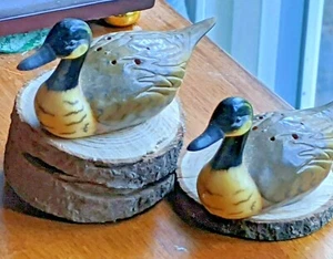 Coctelera de sal y pimienta vintage de plástico duro de pato ácalardo sentado  - Imagen 1 de 7