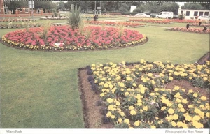 MIDDLESBROUGH, ALBERT PARK, Yorkshire - Vintage POSTCARD - Picture 1 of 2