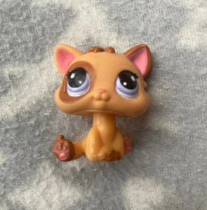 Toppa occhi viola Littlest Pet Shop #2414 gatto marrone arancione gattino gattino - Foto 1 di 3