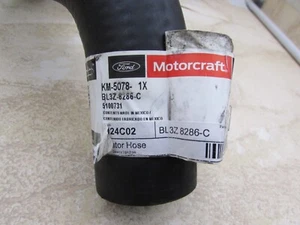 Manguera inferior refrigerante radiador 5,0 L Ford F-150 2011-2014 original BL3Z8286C nuevo fabricante de equipos originales - Imagen 1 de 3