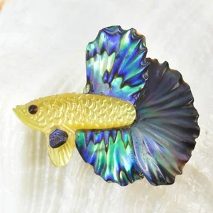 Siamés Toreo Pez Betta Iridiscente Multicolor Concha Tallado 2.71G Perforado - Imagen 1 de 6