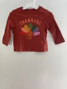Old Navy Unisex Toddler Colorful Turkey Thanksgiving Shirt Rusty Torch 12-18M 4T - Picture 1 of 3