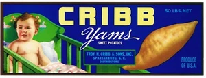 ORIGINAL 50er JAHRE KRIPPE YAMSWURZEL KISTE ETIKETT SOUTH CAROLINA SPARTANBURG BABYWIEGE  - Bild 1 von 1