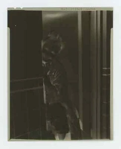Joanne Woodward 4"x 5" Large Film Negative From Movie-The 3 Faces of Eve (1957) - Picture 1 of 1