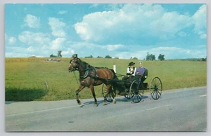 Amish Courting Buggy, Pferd, junges Paar, Vintage Postkarte - Bild 1 von 2