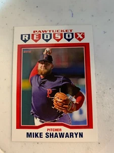 Mike Shawaryn 2019 Pawtucket Red Sox Team Card - Picture 1 of 1