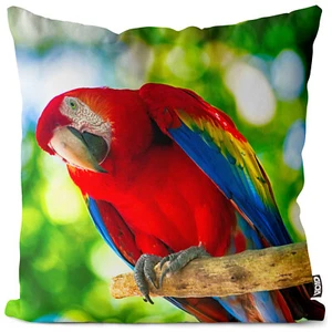 Funda de cojín VOID loro África pájaro mascota animal safari plumas cría - Imagen 1 de 3