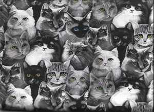 45" 100% cotton Novelty fabric "CATSUP" by Henry Glass & Co. - Picture 1 of 1