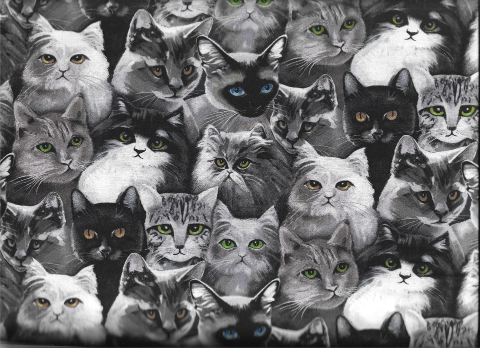 45" 100% cotton Novelty fabric "CATSUP" by Henry Glass & Co.