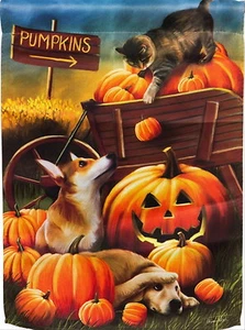 NEU LG EVERGREEN 2-SEITIGE HALLOWEEN FLAGGE BOMBEN WEG KÜRBIS KATZE CORGI LABOR 29X43 - Bild 1 von 1