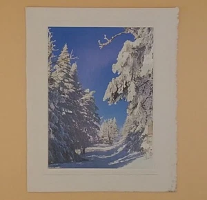 Vintage Christmas Card Front, Snow Covered Trees, Sunlight And Shadows - No Back - Picture 1 of 2