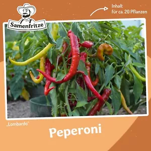 Peperoni Lombardo Samen für ca. 20 Pflanzen - milde Sorte, ertragreich - Bild 1 von 5