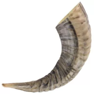 Pisapapeles Natural Ram Horn, decoración decorativa del hogar, 10-12 pulgadas - regalo novedoso - Imagen 1 de 4