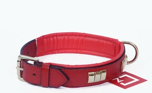 LEATHER DOG COLLAR FULLY PADDED WITH BRASS (CHROME PLATED) FITTING IN 6 COLOURS - Picture 1 of 23