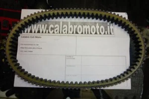 Cinghia trasmissione Piaggio Beverly 250 - Imagen 1 de 1