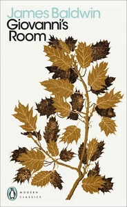 Giovanni's Room by James Baldwin (English) Paperback Book - Picture 1 of 1