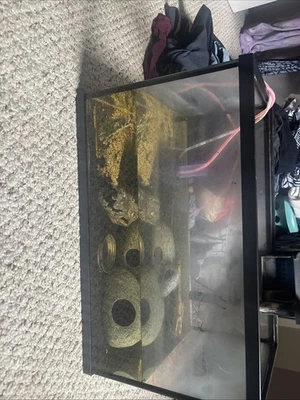 Kit de inicio de acuario de vidrio de 10 galones con sistema de iluminación y filtración LED Foto 1 de 3