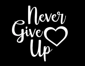 NEVER GIVE UP 3 5X5 Vinyl Decal / Sticker / Window Sticker Graphic - Picture 1 of 6