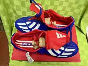 Adidas Predator Mania FG Japan blau LTD ED EH2958 Größe 10,5 US Fußballschuhe neu im Karton - Bild 1 von 19