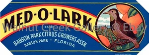 Florida Crate Label Fine Art Print, Lark, approx 13.8"x 5.2" 13207 - Picture 1 of 1