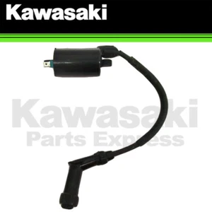 NEW 2012-2025 GENUINE KAWASAKI BRUTE FORCE 300 IGNITION COIL ASSEMBLY 21171-Y001 - Picture 1 of 4