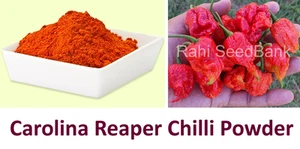 Carolina Reaper Chilli Powder - Get an Atomic Blast inside Your Mouth! 10 Grams - Picture 1 of 4
