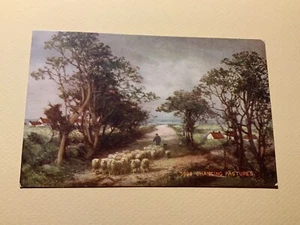Changing Pastures #5608 Shepherd Herd Art Vintage Postcard - Imagen 1 de 2