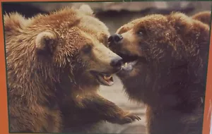 Brown Bears Jigsaw Puzzle NEW 1000pc 19.12" X 28.75" Prty Mail Shp - Picture 1 of 10