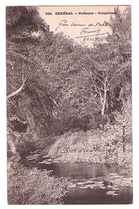 SENEGAL - RUFISQUE - SANGALCAM - 1907 - Fortier n°530 - DND - Picture 1 of 1