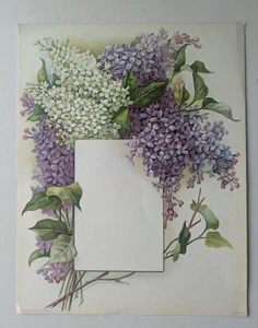 Vintage 1910 Antique VICTORIAN PRINT LILAC FLOWERS for Menu or Photo - Picture 1 of 3