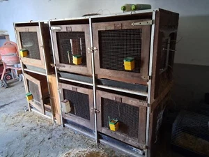 hasenstall 2 ebenen sehr ordentlicher stabiler Stall an selbstabholer abzugeben - Bild 1 von 1