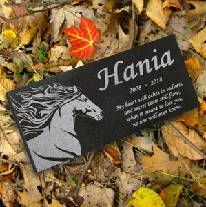 Personalisiertes Pferdedenkmal - Granit Haustier Denkmal - 6x12 - Hania - Bild 1 von 9