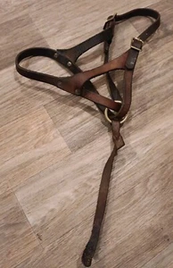 Leather Horse Foal Halter W/ Catch Strap - Picture 1 of 4