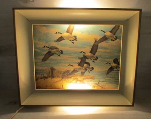 Vintage fliegende Gänse Litho Schattenkasten beleuchtetes Bild Metallrahmen geformte Produkte NY - Bild 1 von 21