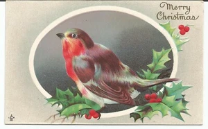 Weihnachten Robin unverpostet 1911 Vintage Postkarte - Bild 1 von 2