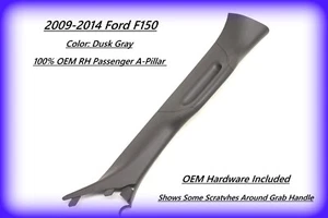 OEM RH A-Pillar Grab Handle Trim Dusk Grey – Fits 09–14 Ford F-150 F150 - Picture 1 of 10