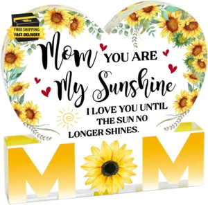 Gift for Mom Delicate Mom Birthday Gifts from Grandkids Acrylic Moon Decorations - Picture 1 of 6