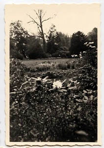 Landschaft Deutschland Parkansicht Oldenburg - altes Foto an. 1950 - Bild 1 von 1