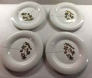 Arte’Chine Top Choice Gold Floral Modern Raised Edge 4 Dinner Plates 10.5" White - Picture 1 of 7
