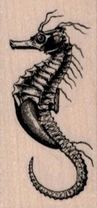 Sello de goma de caballito de mar de 1 1/2 x 3", sello de vida marina, sello de caballito de mar - Imagen 1 de 1