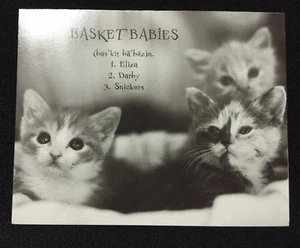 Katzenkätzchen 20 Notizkarten und Umschläge 4 verschiedene Designs NEU 4,75 Zoll x 3,75 Zoll - Bild 1 von 5