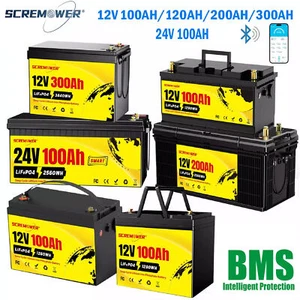 LiFePO4 Battery 12V/24V 100Ah 200Ah 300Ah Bluetooth Lithium Deep Cycle RV Solar - Picture 1 of 83