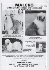 ALTE ENGLISCHE SCHÄFERHUNDRASSE HÜTTE WERBUNG DRUCKSEITE "MALCRO" HUNDEWELT 1989 - Bild 1 von 1