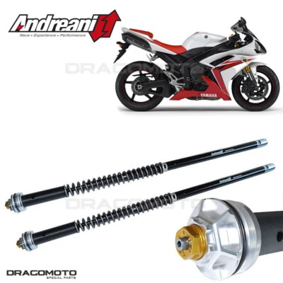 YAMAHA YZF-R1 2007-2008 cartuccia ANDREANI 105/Y44E MISANO EVO Foto 1 de 4